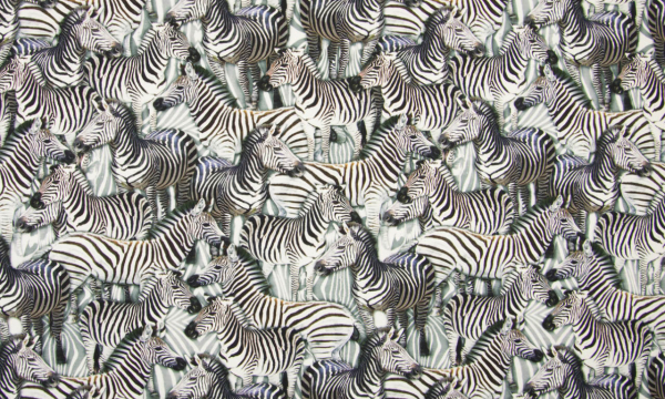 Digital Jersey ~ Zebra