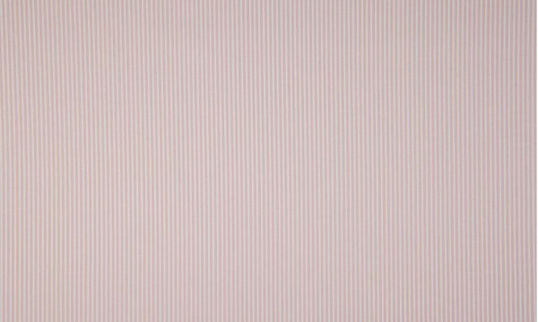 Baumwolle ~ zarte Streifen Hellrosa Weiß